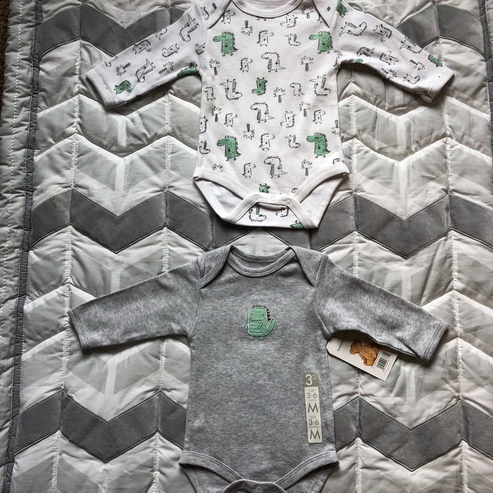 2-pack long sleeve bodysuits!!  Brand new!!